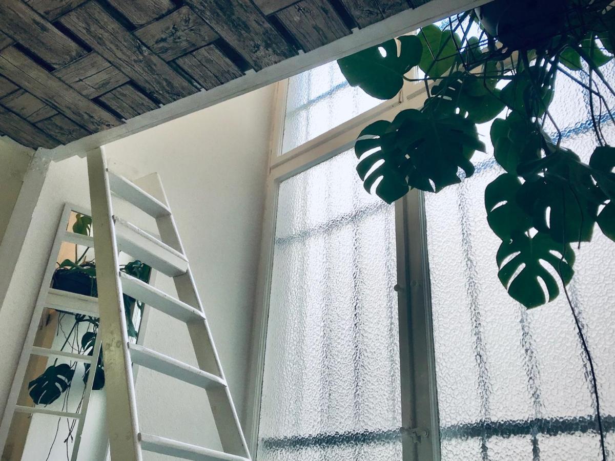 Boutique Hostel Lekkerurlaub Berlin Zewnętrze zdjęcie